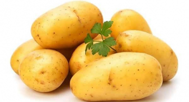 Výhody a poškození brambor pro lidské zdraví